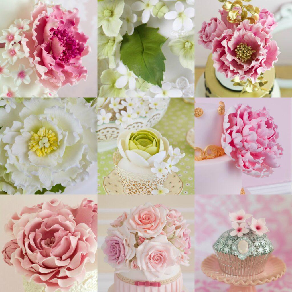 collagepatricia2