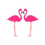 flamencos