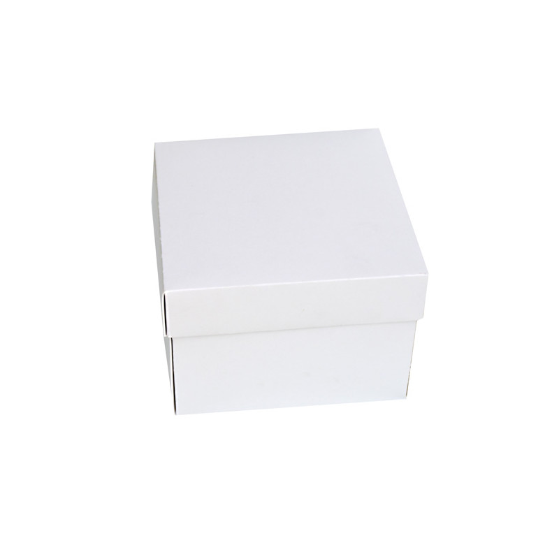 Caja rectangular cartón blanco con tapa integrada 26x18x8 cm 50uds