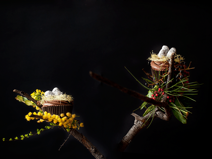 Cupcakes Nido De Pascua